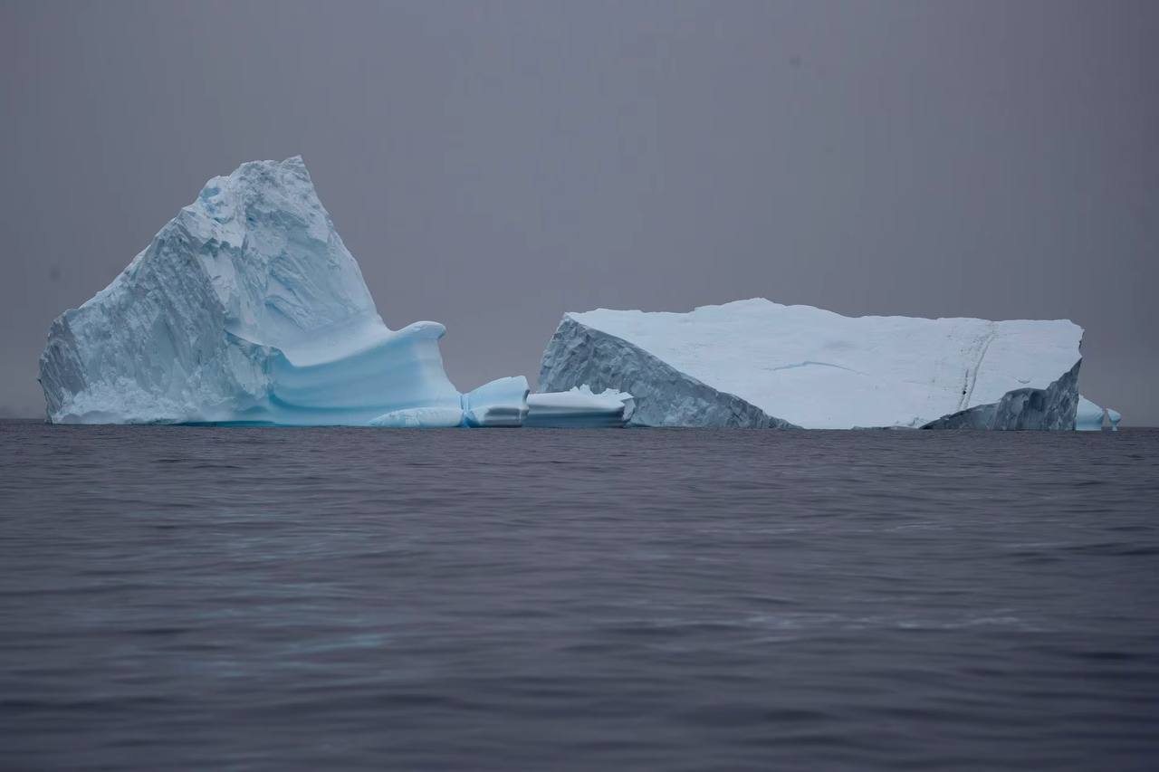 Antarctica's alarming sea ice decline signals climate change crisis: call for global action 